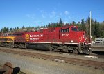 CP 8010 AC4400CWM